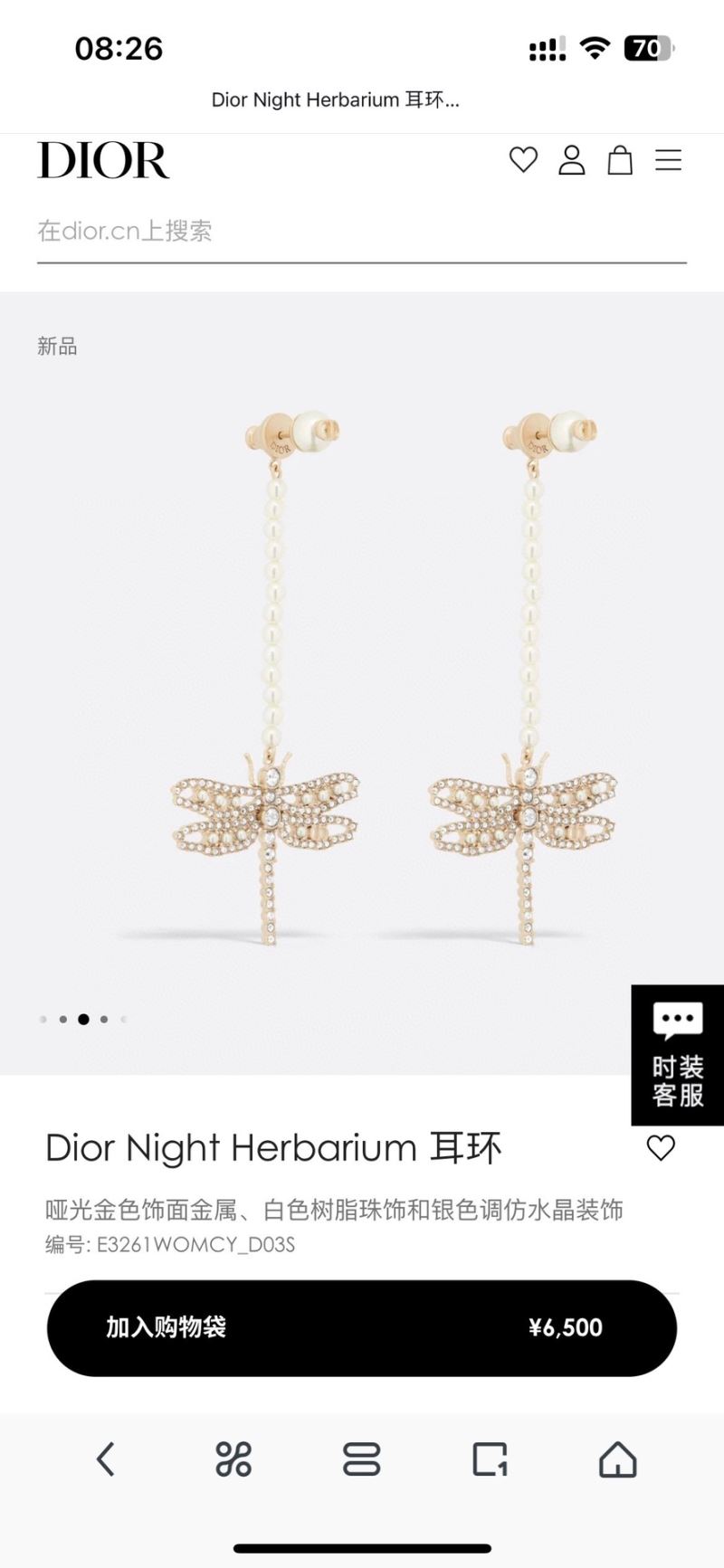 Christian Dior Earrings